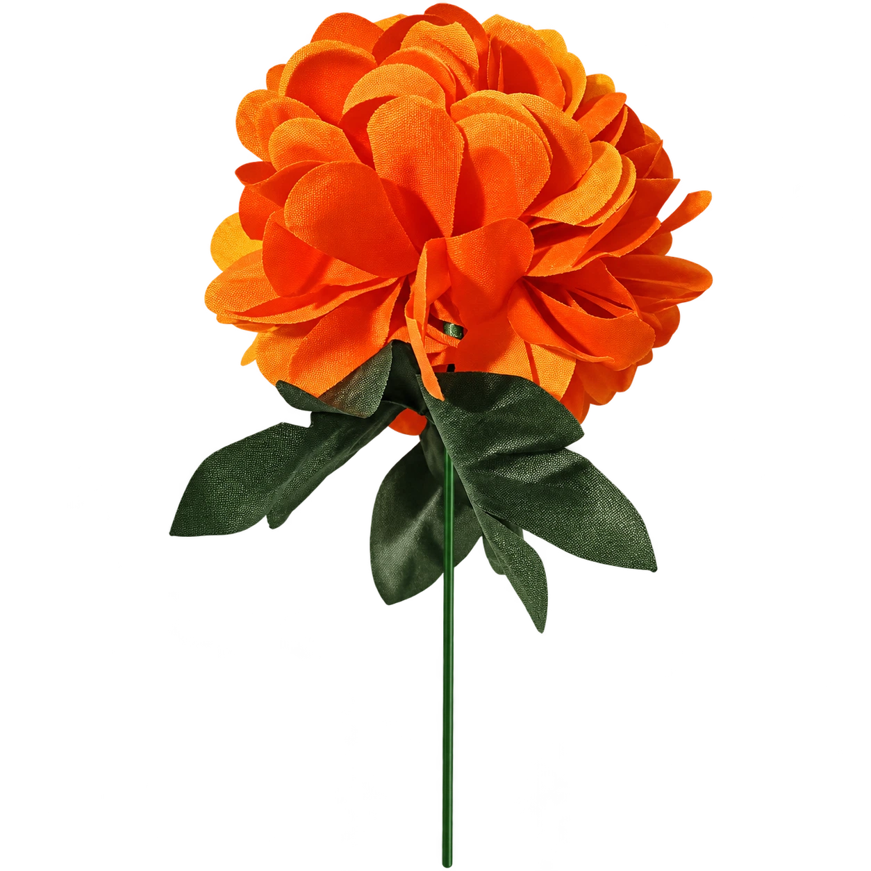 Flor de Cempasúchil